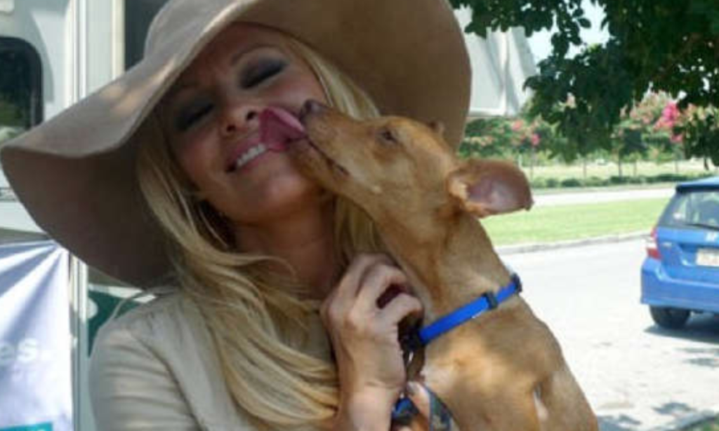 Pamela Anderson consigue un nuevo empleo como ¡paseadora de perros!